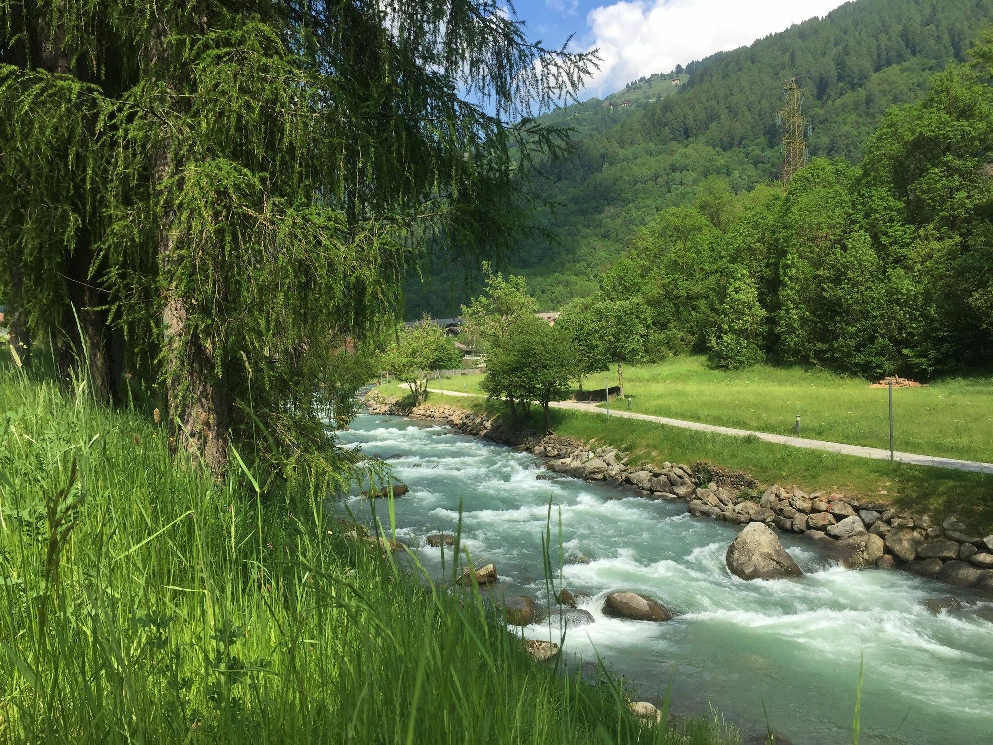 Roulette Montana Marilleva 900 Apartment Mezzana (Trentino Alto Adige)
